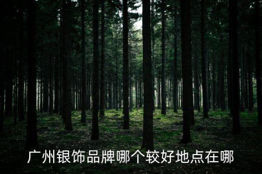廣州銀飾品牌店，廣州銀飾品牌哪個較好地點在哪