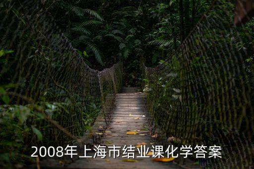 2008年上海市結業課化學答案