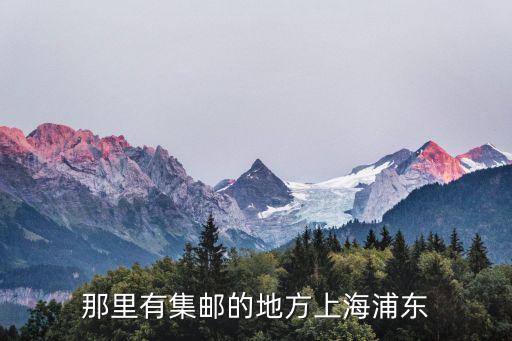 那里有集郵的地方上海浦東