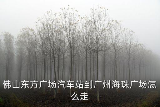 佛山東方廣場汽車站到廣州海珠廣場怎么走