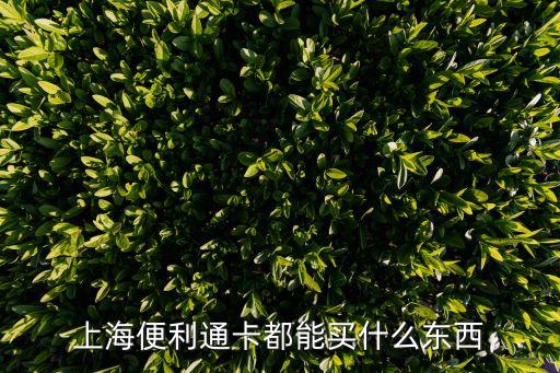 上海便利通卡都能買(mǎi)什么東西
