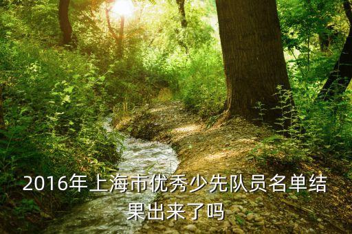 上海市育才初級中學劉洋，找上海最好的初中數學老師
