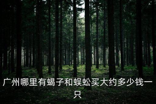 廣州出售海蜈蚣，廣州哪里有蜈蚣買