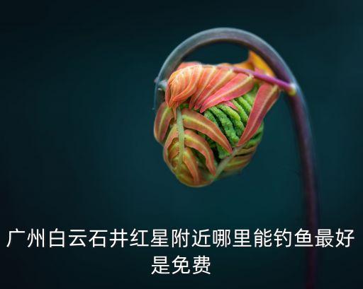 廣州附近可釣魚民宿，廣州白云石井紅星附近哪里能釣魚最好是免費