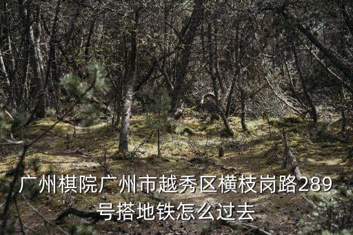 珠江棋院廣州，廣東哪里有棋院