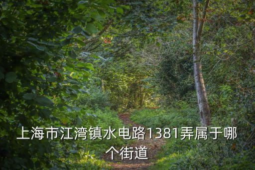 上海市江灣鎮水電路1381弄屬于哪個街道