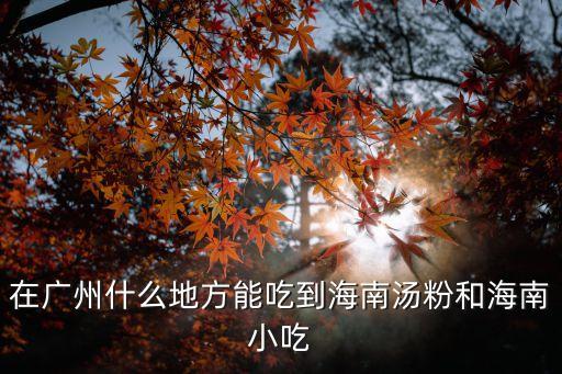 在廣州什么地方能吃到海南湯粉和海南小吃