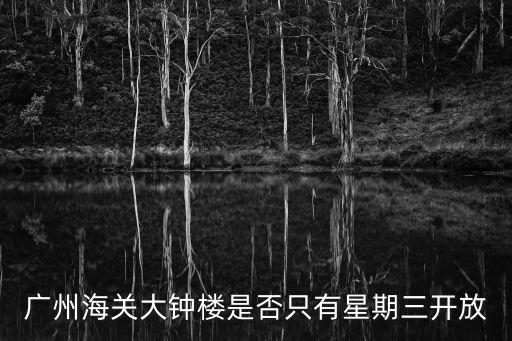 廣州海關大鐘樓是否只有星期三開放
