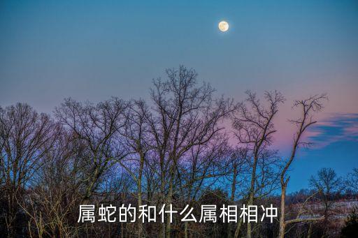 屬蛇的和什么屬相相沖