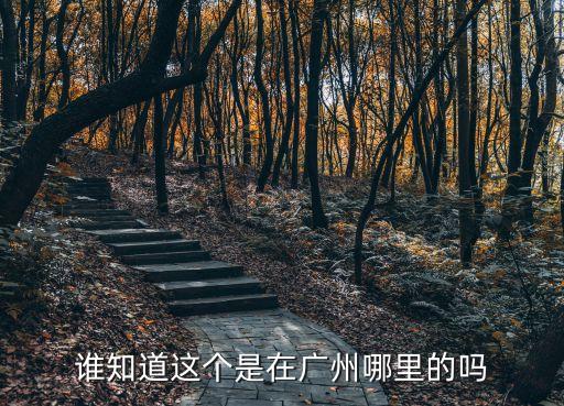 廣州騰飛園中新里老板是誰，誰知道這個是在廣州哪里的嗎