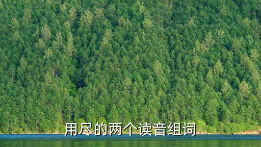 盡的拼音組詞，盡多音字注音并組詞