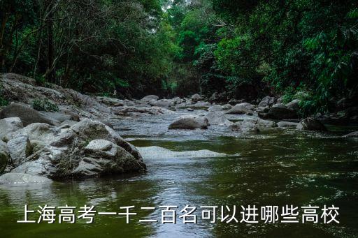 上海高考一千二百名可以進哪些高校