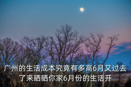 廣州的生活成本究竟有多高6月又過去了來曬曬你家6月份的生活開