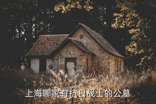 上海市烈士陵園在哪里，上海哪家有抗日戰士的公墓