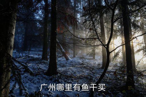 廣州哪里有魚干買