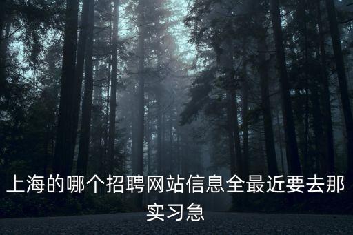 上海的哪個(gè)招聘網(wǎng)站信息全最近要去那實(shí)習(xí)急