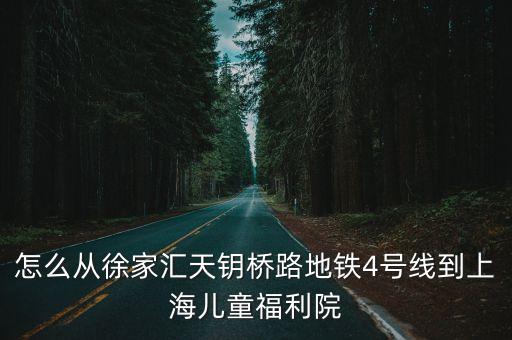 怎么從徐家匯天鑰橋路地鐵4號線到上海兒童福利院