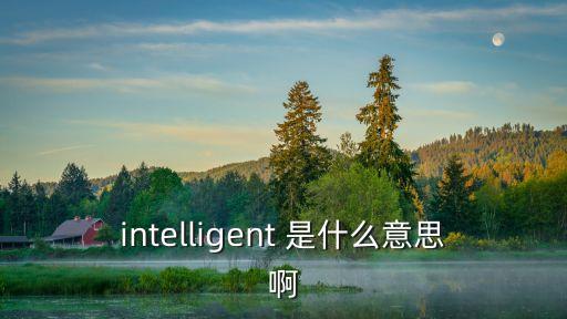 intelligent，intelligent 是什么意思啊