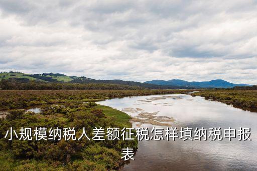 小規(guī)模納稅人差額征稅怎樣填納稅申報(bào)表