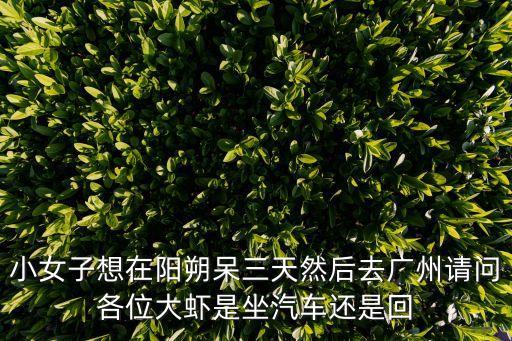 小女子想在陽朔呆三天然后去廣州請(qǐng)問各位大蝦是坐汽車還是回