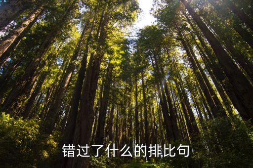 錯過了什么的排比句