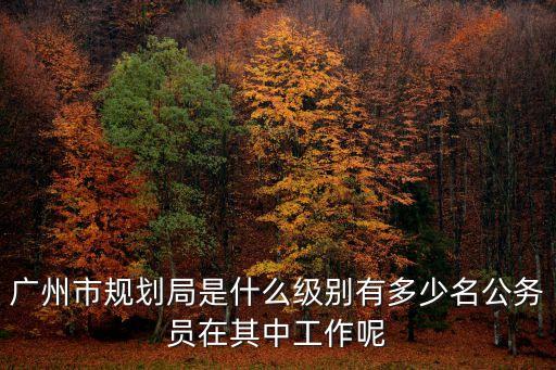 廣州市規(guī)劃和自然資源局職能編制，規(guī)劃局的事業(yè)編