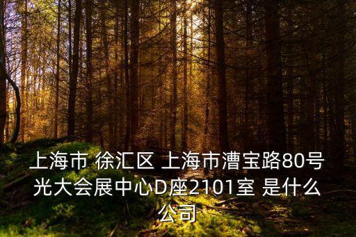 上海市 徐匯區 上海市漕寶路80號光大會展中心D座2101室 是什么公司