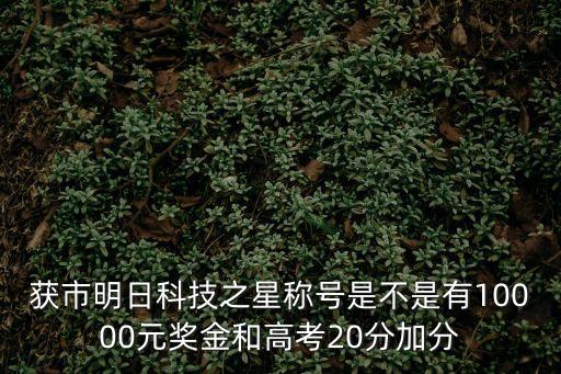 獲市明日科技之星稱號(hào)是不是有10000元獎(jiǎng)金和高考20分加分