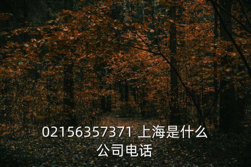 02156357371 上海是什么公司電話