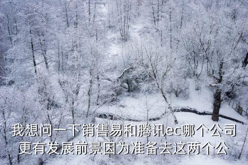廣州速聯信息，我想問一下銷售易和騰訊ec哪個公司更有發展前景因為準備去這兩個公