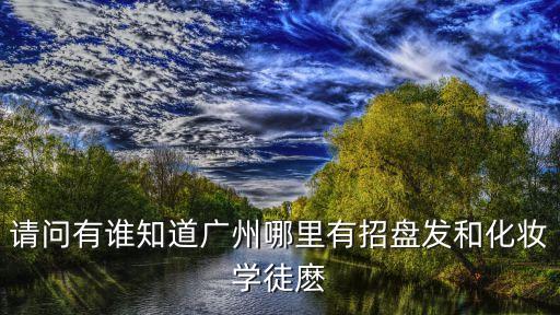 請(qǐng)問(wèn)有誰(shuí)知道廣州哪里有招盤(pán)發(fā)和化妝學(xué)徒麼