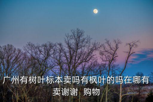 廣州哪里買楓葉牌，廣州有樹葉標本賣嗎有楓葉的嗎在哪有賣謝謝  購物