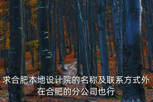 求合肥本地設計院的名稱及聯(lián)系方式外在合肥的分公司也行