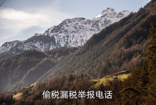 稅務(wù)舉報(bào)電話，有誰知道稅務(wù)局的舉報(bào)電話