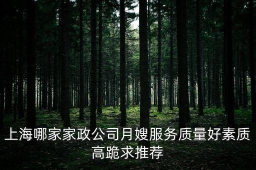 上海市中心家政公司，上海哪家家政公司比較好