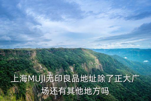 上海MUJI無印良品地址除了正大廣場還有其他地方嗎