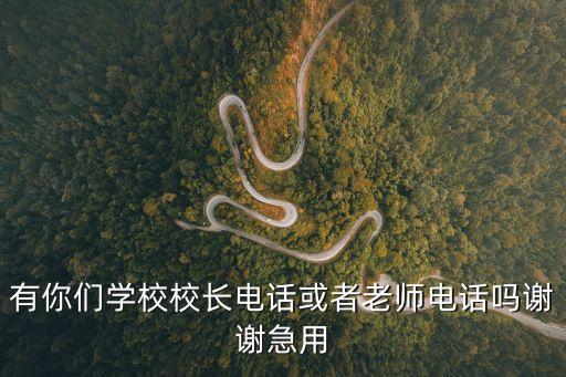 有你們學(xué)校校長(zhǎng)電話或者老師電話嗎謝謝急用
