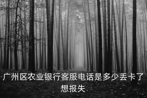 廣州區(qū)農(nóng)業(yè)銀行客服電話是多少丟卡了想報(bào)失