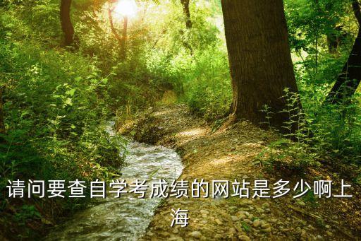 上海市自考成績查詢入口，請問要查自學考成績的網站是多少啊上海