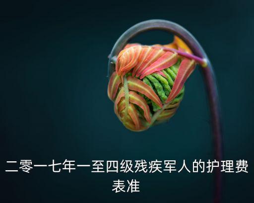 二零一七年一至四級(jí)殘疾軍人的護(hù)理費(fèi)表準(zhǔn)
