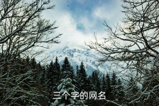 三個(gè)字的游戲名字，求三個(gè)字的有詩(shī)意的游戲名字