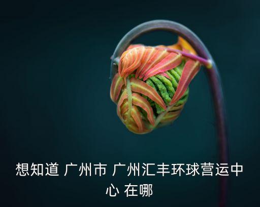 想知道 廣州市 廣州匯豐環(huán)球營(yíng)運(yùn)中心 在哪