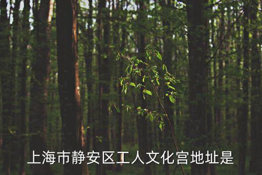 上海市靜安區中興路297號，上海市靜安區工人文化宮地址是