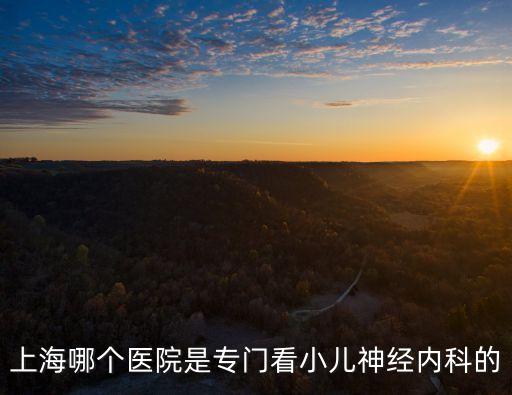 上海哪個(gè)醫(yī)院是專門看小兒神經(jīng)內(nèi)科的