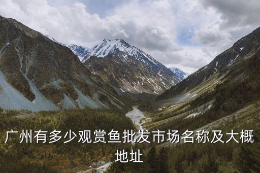 廣州市觀賞魚批發(fā)中心，廣州哪里批發(fā)觀賞魚謝謝