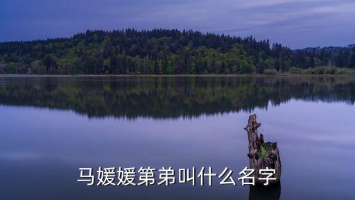馬媛媛第弟叫什么名字