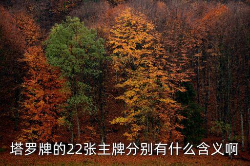 塔羅牌22張主牌，塔羅牌都有那二十二張主牌和五六張副牌