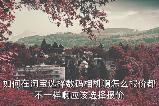如何在淘寶選擇數碼相機啊怎么報價都不一樣啊應該選擇報價