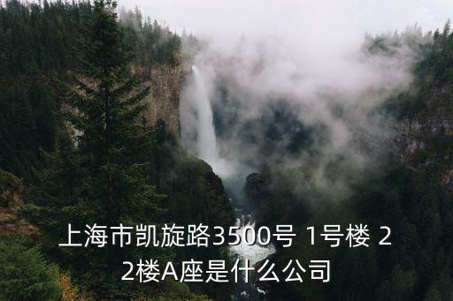 上海市凱旋路3500號(hào) 1號(hào)樓 22樓A座是什么公司