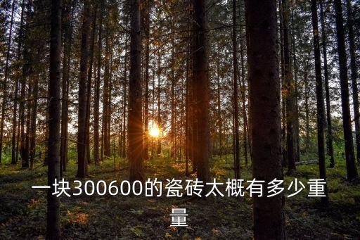 瓷磚密度，一塊300600的瓷磚太概有多少重量